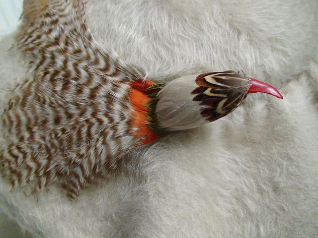 186c