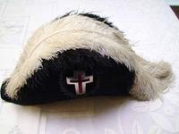 Bicorne