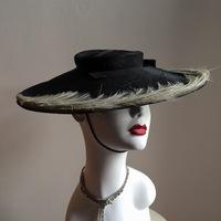 Widebrim