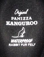 Panizza