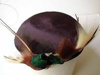 Taxidermy bird